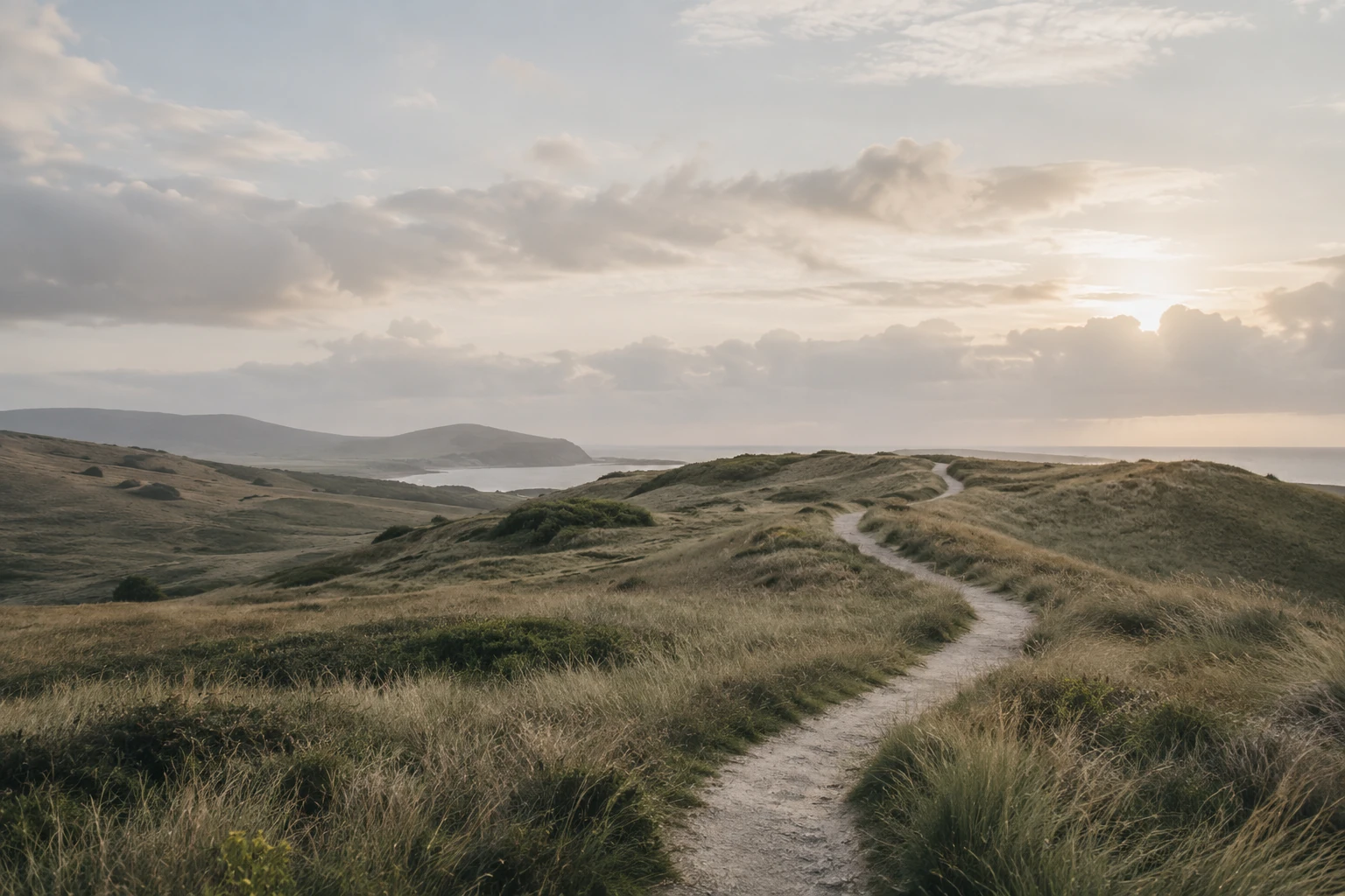 Schmaler Pfad durch hohes Gras auf einer Klippe mit Blick auf Meer und Küste im Abendlicht